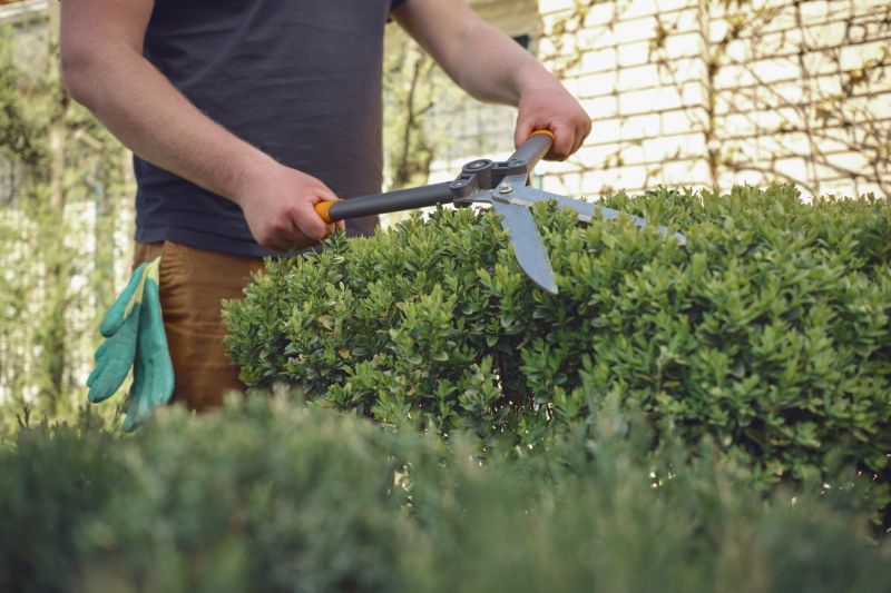 Tools for Shrub Trimming