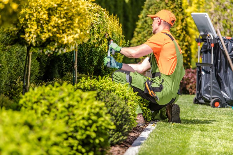 Customized Shrub Care